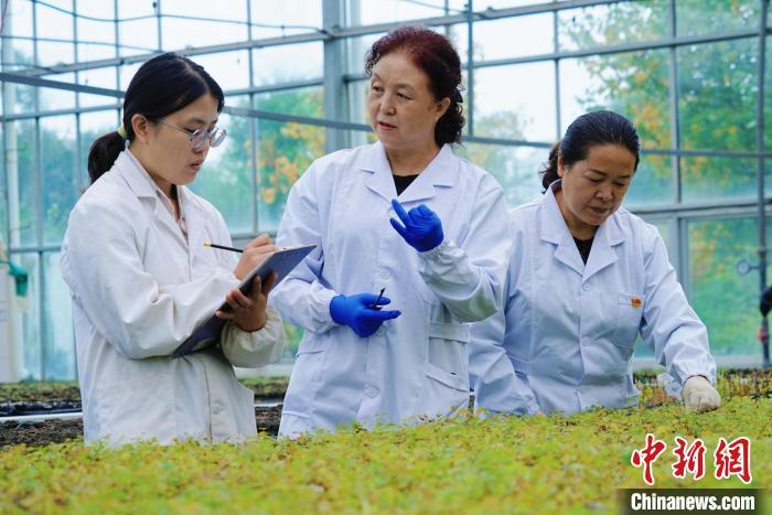 圖為張錦梅(中)與同事在討論數(shù)據(jù)。馬銘言 攝