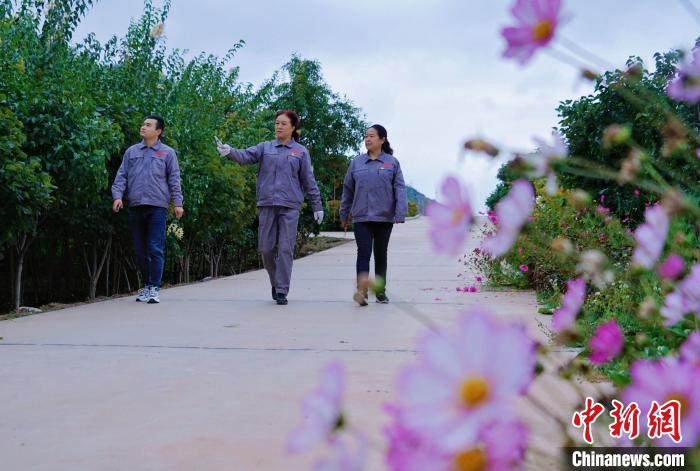 圖為張錦梅(中)與同事在西寧北山查看丁香樹。　馬銘言 攝