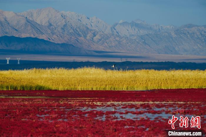 圖為柴達木盆地可魯克湖。　郭曲太 攝