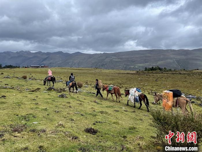 圖為9月26日游客騎馬領略尼汝村高原牧場風光。 <a target='_blank' href='/'><p  align=