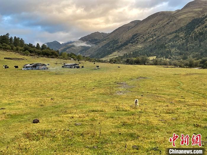 圖為9月27日新沾牧場的早晨景色。 <a target='_blank' href='/'><p  align=