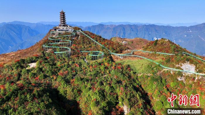 巴山大峽谷彩林迎來(lái)最佳觀賞期。　姚盛 攝