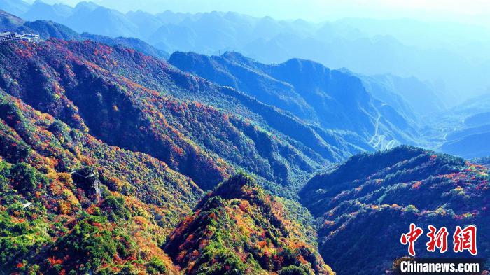 巴山大峽谷彩林迎來(lái)最佳觀賞期?！埰?攝