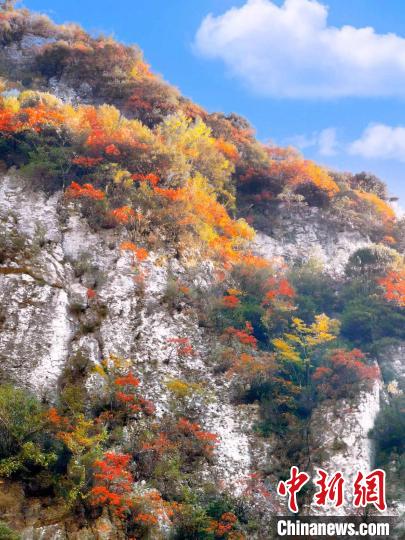 彩林色彩斑斕?！≈炱桨?攝