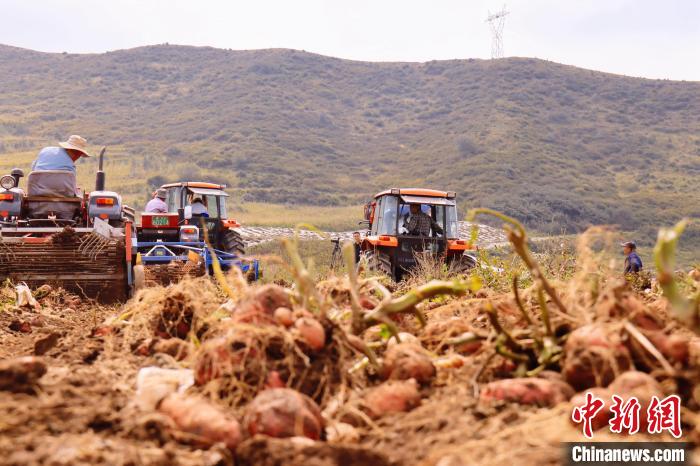 青海東部農(nóng)業(yè)區(qū)：“一分川、一分水、八分山”里“刨金記”