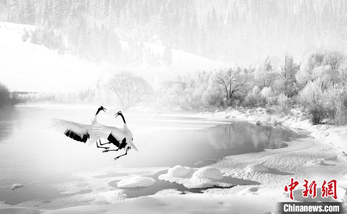 圖為焦生福的作品《鶴嬉雪林》?！∏嗪Ｊ∑钸B山自然保護(hù)協(xié)會(huì)供圖