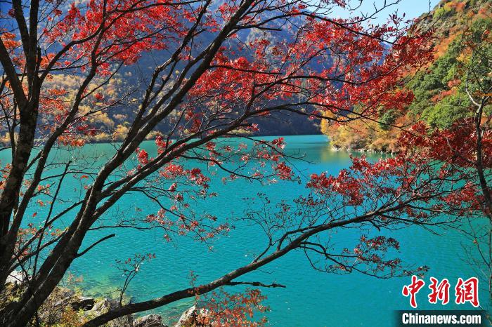 松坪溝風(fēng)光?！『吻搴?攝