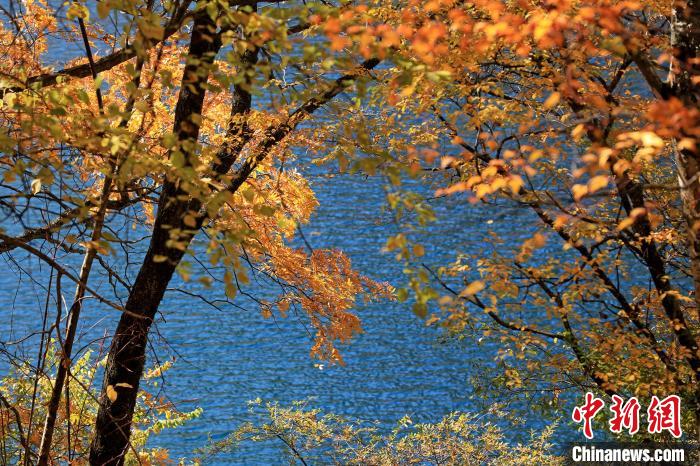 松坪溝風(fēng)光?！⑼?攝