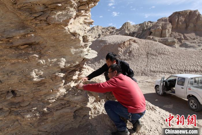 圖為地質(zhì)專家觀察鹽類沉積地層。(資料圖) 柴綜院 供圖