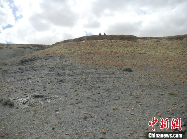 圖為本次研究的藏南曲布剖面二疊紀末期黑色頁巖?！∧瞎潘?供圖