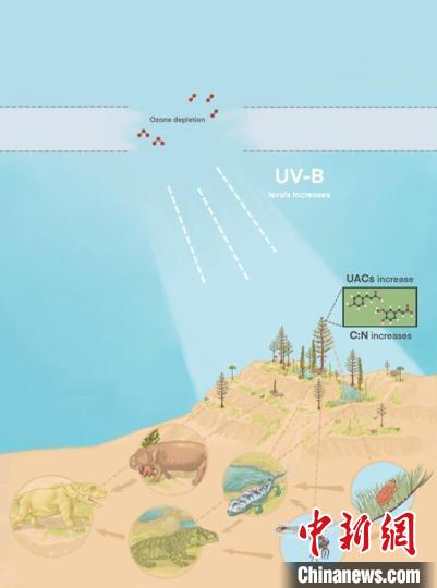 臭氧層破壞引起的紫外線輻射增加對陸地食物鏈的影響?！∧瞎潘?供圖