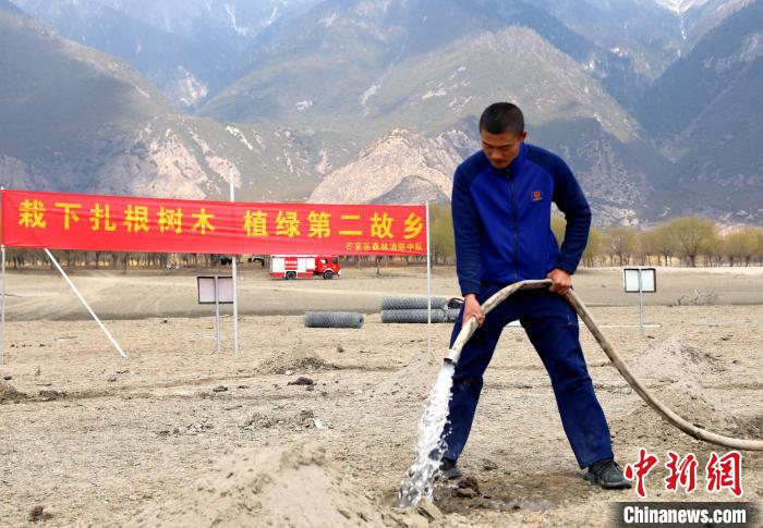 林芝市巴宜區(qū)森林消防中隊(duì)志愿服務(wù)隊(duì)澆水灌溉?！∥骼@拉翁 攝
