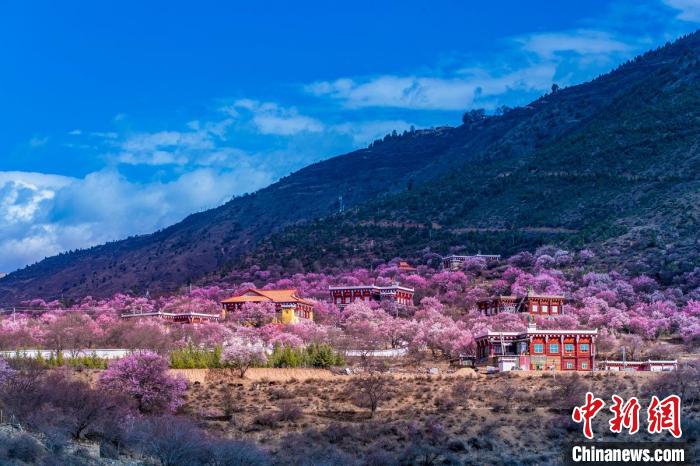 美麗的鄉(xiāng)村畫卷?！『涡秀?攝