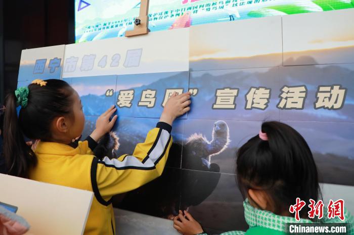 圖為學(xué)生通過拼圖游戲了解鳥類知識(shí)?！●R銘言 攝