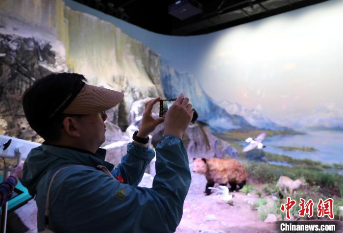 臺(tái)商參訪(fǎng)祁連山國(guó)家公園生態(tài)科普館