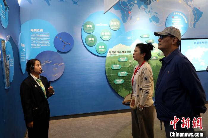 圖為臺(tái)商在祁連山國(guó)家公園生態(tài)科普館內(nèi)聆聽(tīng)講解?！⊙Φ?攝