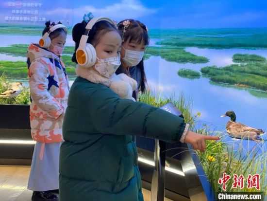 圖為學(xué)生在西寧市第一中學(xué)濕地科普宣教館內(nèi)參觀?！±罱瓕?攝