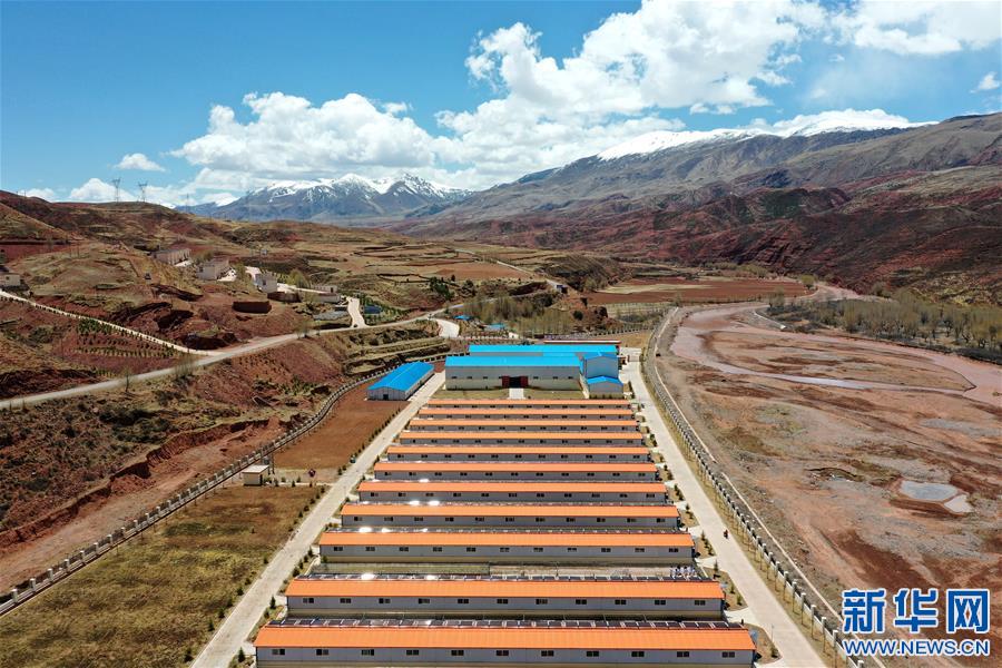 (決戰(zhàn)決勝脫貧攻堅(jiān)·圖文互動(dòng))(4)“阿旺綿羊”成就大產(chǎn)業(yè)——西藏貢覺(jué)縣做大做強(qiáng)扶貧產(chǎn)業(yè)見(jiàn)聞