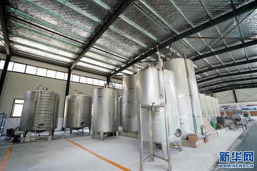 (決戰(zhàn)決勝脫貧攻堅(jiān)·圖文互動(dòng))(5)西藏昌都“甜蜜”產(chǎn)業(yè)助脫貧