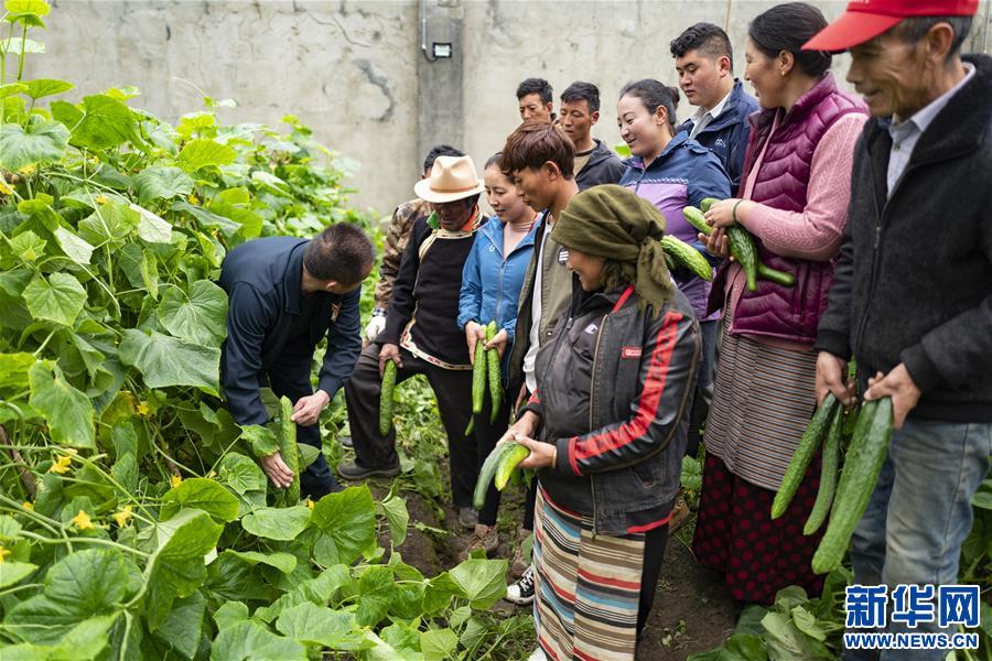 （新華全媒頭條·走向我們的小康生活·圖文互動）（9）扎西德勒，我們的新家園——西藏易地扶貧搬遷搬出幸福美好新生活