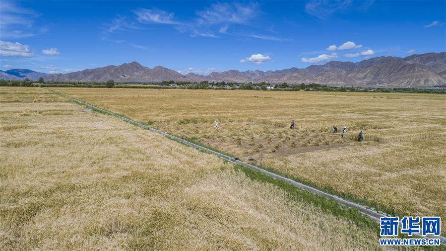 （新華全媒頭條·走向我們的小康生活·圖文互動）（11）扎西德勒，我們的新家園——西藏易地扶貧搬遷搬出幸福美好新生活