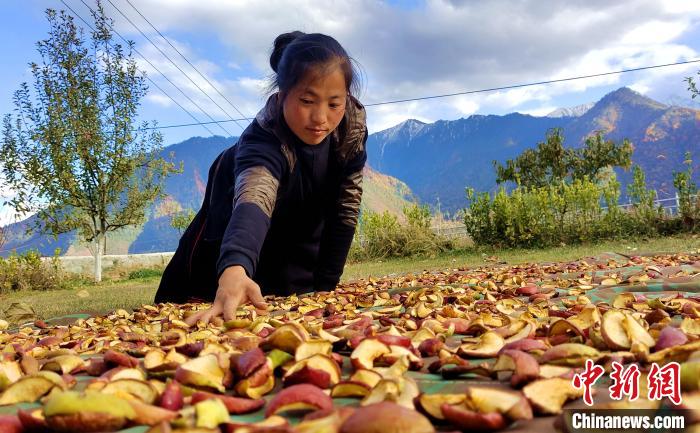 圖為通麥村村民巴桑拉姆晾曬切片蘋果?！∝暽＠?攝