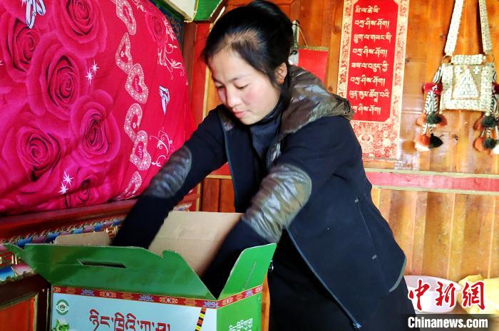 圖為通麥村村民巴桑拉姆把精心挑選的蘋果裝箱?！∝暽＠?攝