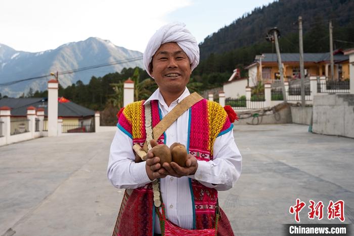 1月29日，京都村委會(huì)主任阿胖正在展示該村種植的獼猴桃。<a target='_blank' ><p  align=