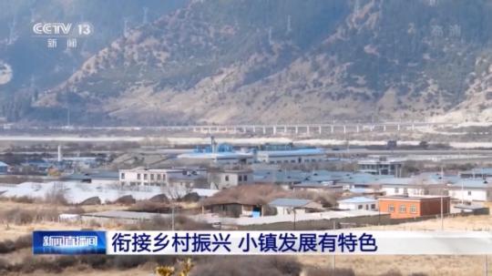 種蘑菇、養(yǎng)駱駝...。。特色產(chǎn)業(yè)助力鄉(xiāng)村振興走新路