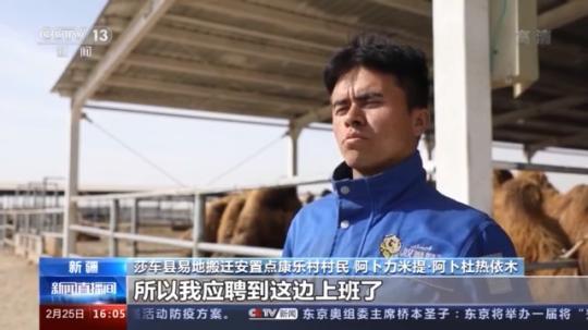 種蘑菇、養(yǎng)駱駝...。。特色產(chǎn)業(yè)助力鄉(xiāng)村振興走新路