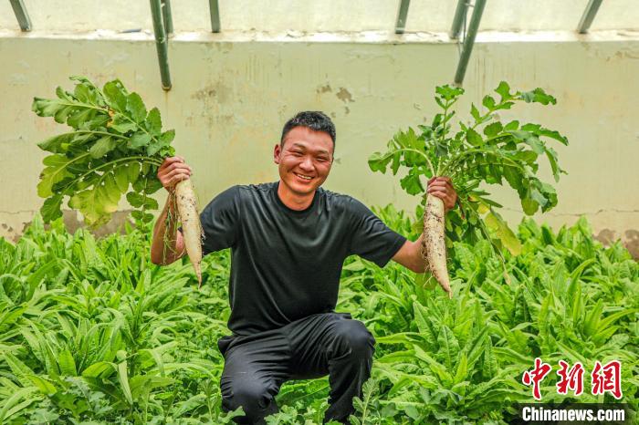 西藏阿里門(mén)士邊境派出所民警兼職大棚種植、豐富牧民餐桌