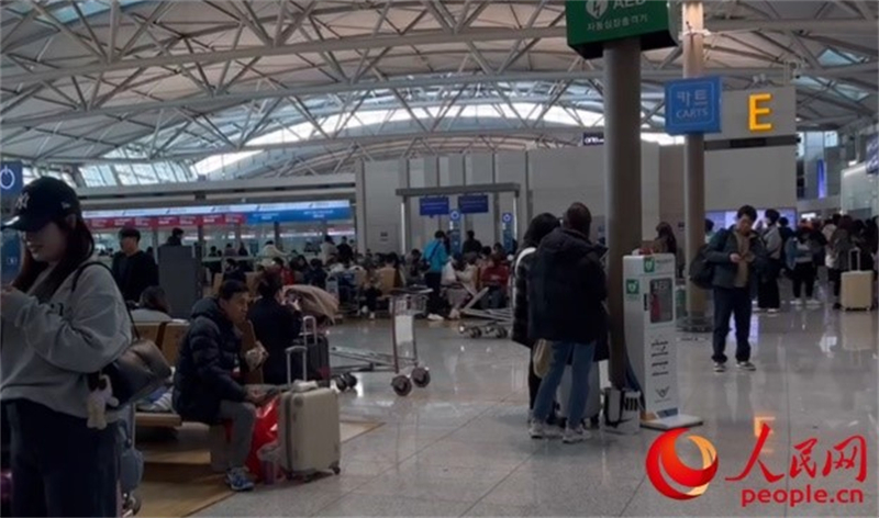 11月29日，繁忙的仁川機(jī)場(chǎng)。人民網(wǎng) 李帆攝