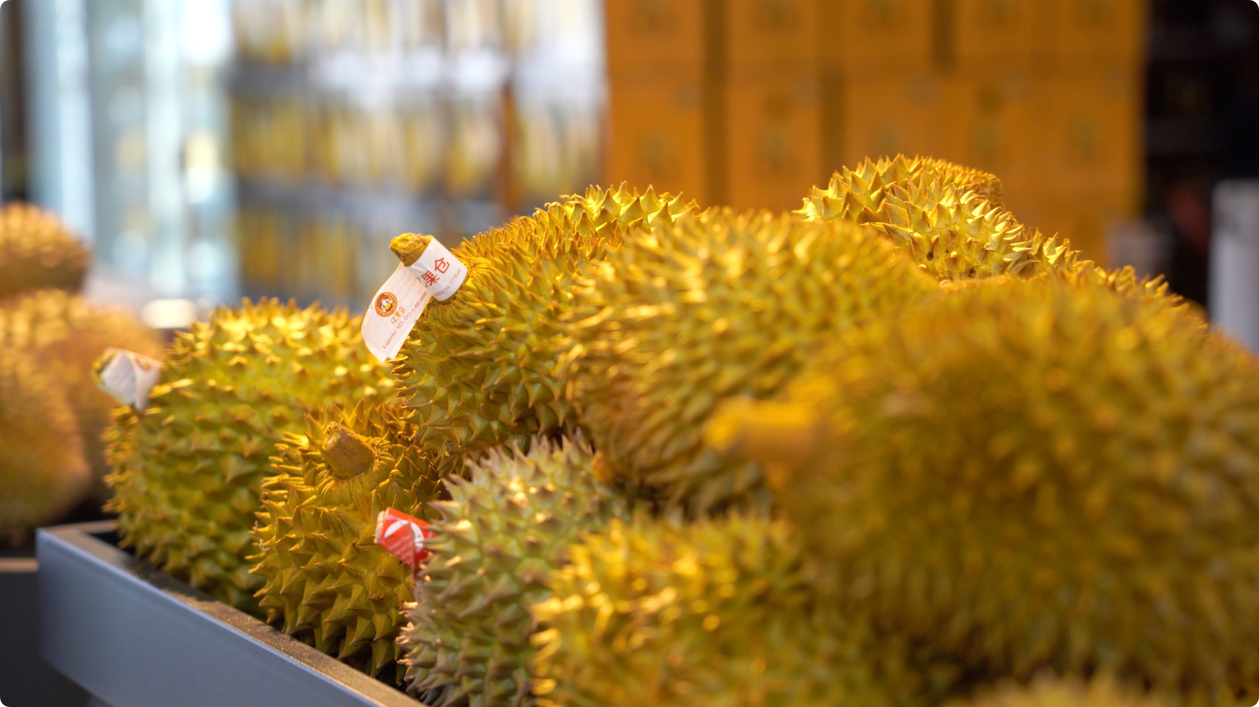 5月初，人民網(wǎng)記者申佳平攝