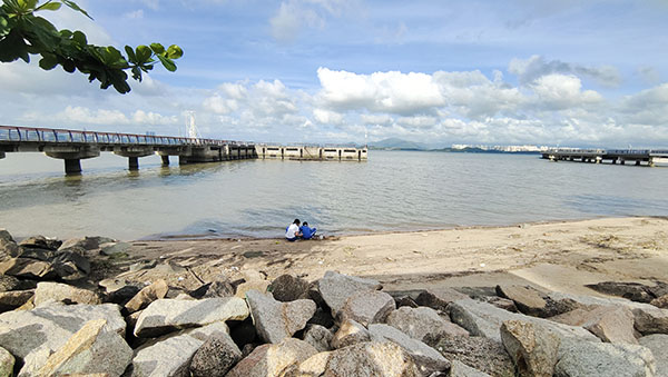 深圳紅樹林灘涂，留給了孩子們親近自然的空間。人民網(wǎng)記者 李彤?dāng)z