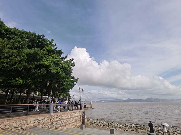 紅樹林灘涂沿線一角。人民網(wǎng)記者 張素玲攝