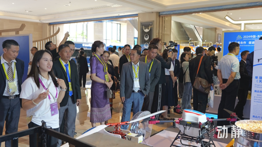 展示成果分享經(jīng)驗，中國—東盟教育交流周深化合作共創(chuàng)未來！