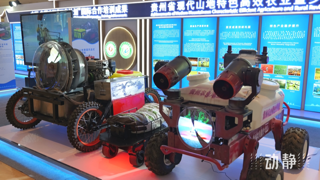 展示成果分享經(jīng)驗，中國—東盟教育交流周深化合作共創(chuàng)未來！