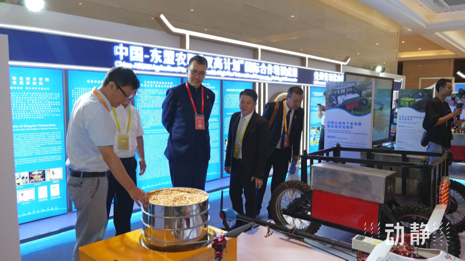 展示成果分享經(jīng)驗，中國—東盟教育交流周深化合作共創(chuàng)未來！