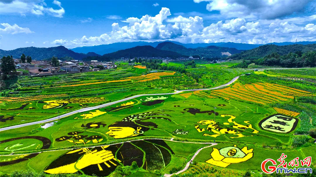 云南清水：延伸公共法律服務(wù)觸角，讓普法與民族團(tuán)結(jié)進(jìn)步互促共融