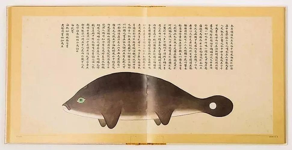 文化中國行 長江之歌丨微笑的江豚，從四千年前“游”來