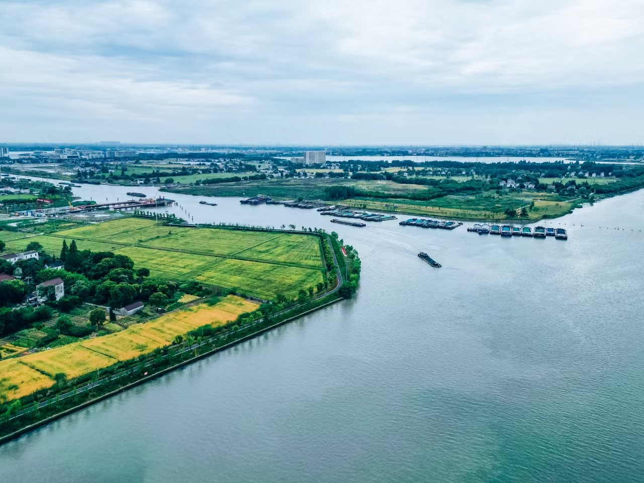 太浦河沿岸好風(fēng)光。吳橫軒攝