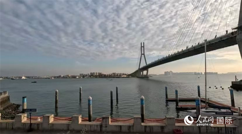 海南省儋州市洋浦大橋。人民網(wǎng) 薩拉·阿芙澤爾攝