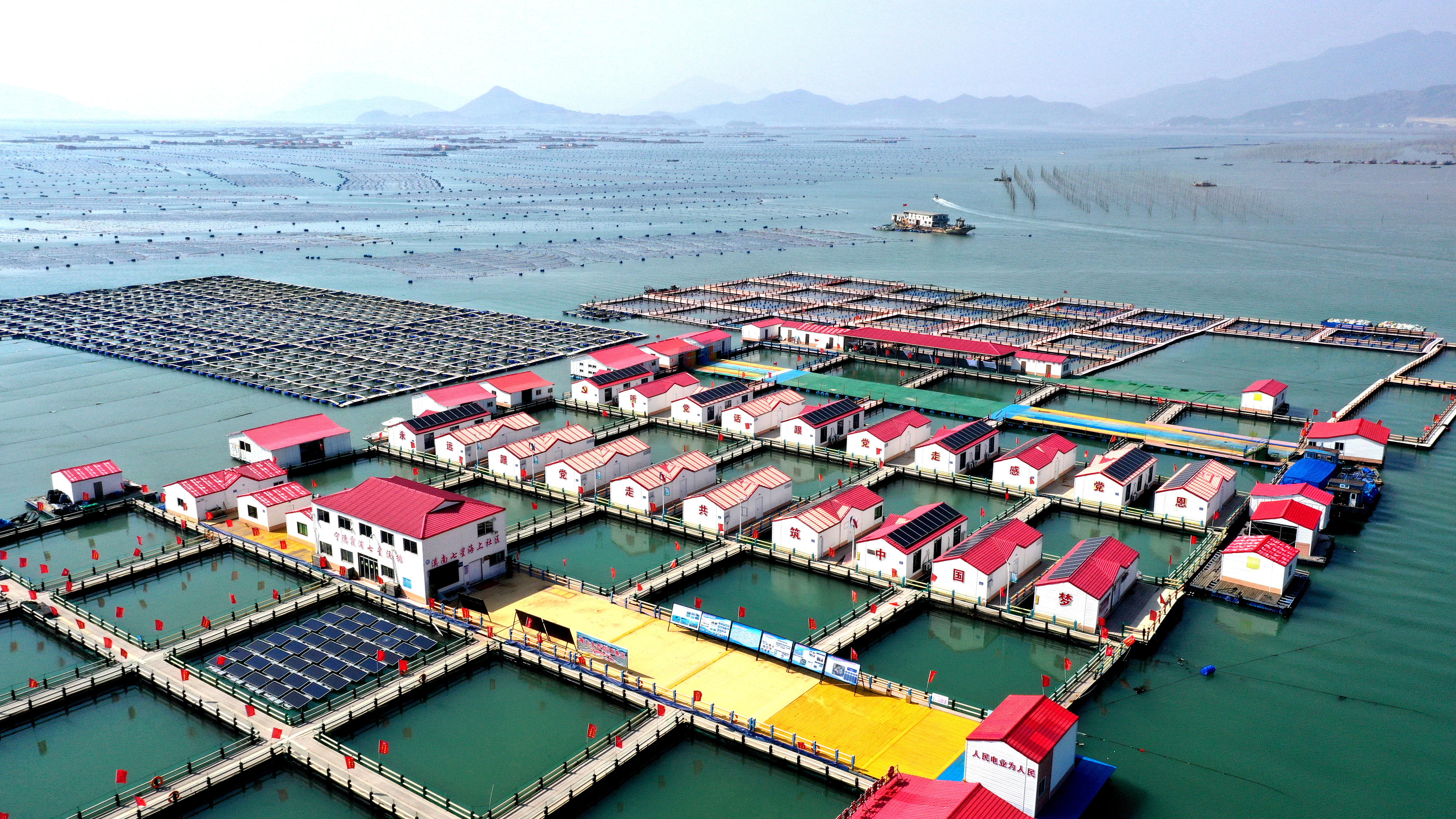 2024年3月20日，福建省寧德市，霞浦縣溪南鎮(zhèn)七星村漁排養(yǎng)殖示范區(qū)，漁民駕駛養(yǎng)殖船進行海參養(yǎng)殖作業(yè)。