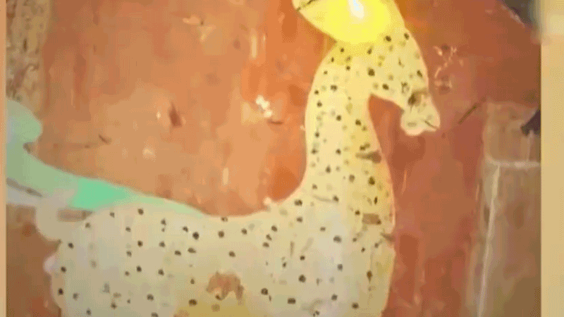 在全新技術(shù)支持下，敦煌莫高窟實(shí)現(xiàn)了窟內(nèi)文物窟外看的新體驗(yàn)。