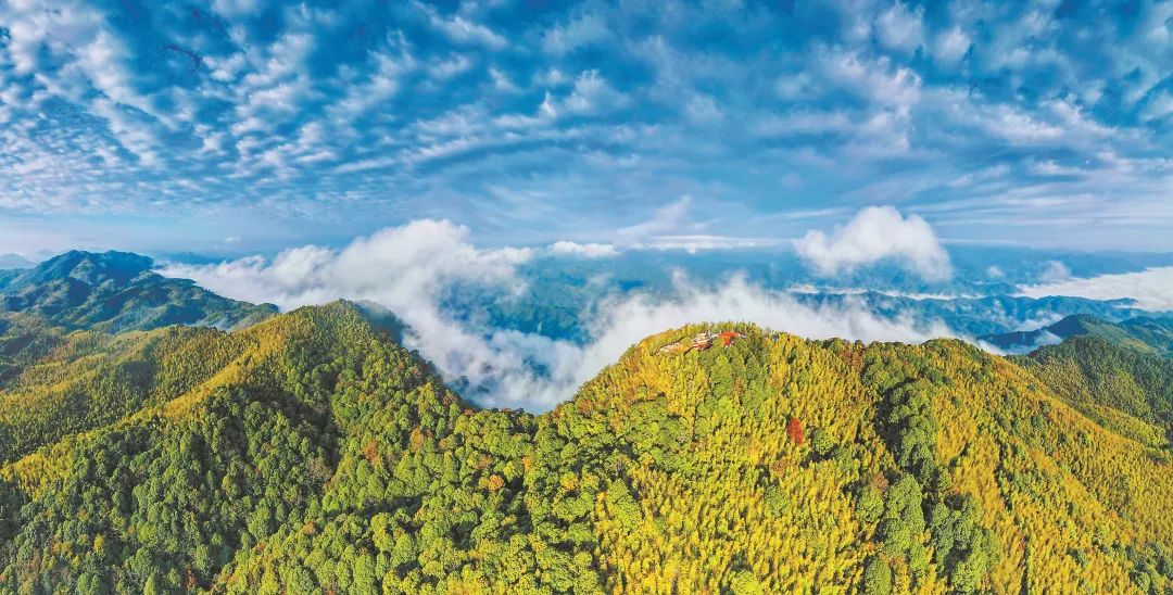 　三明森林生態(tài)環(huán)境優(yōu)美。