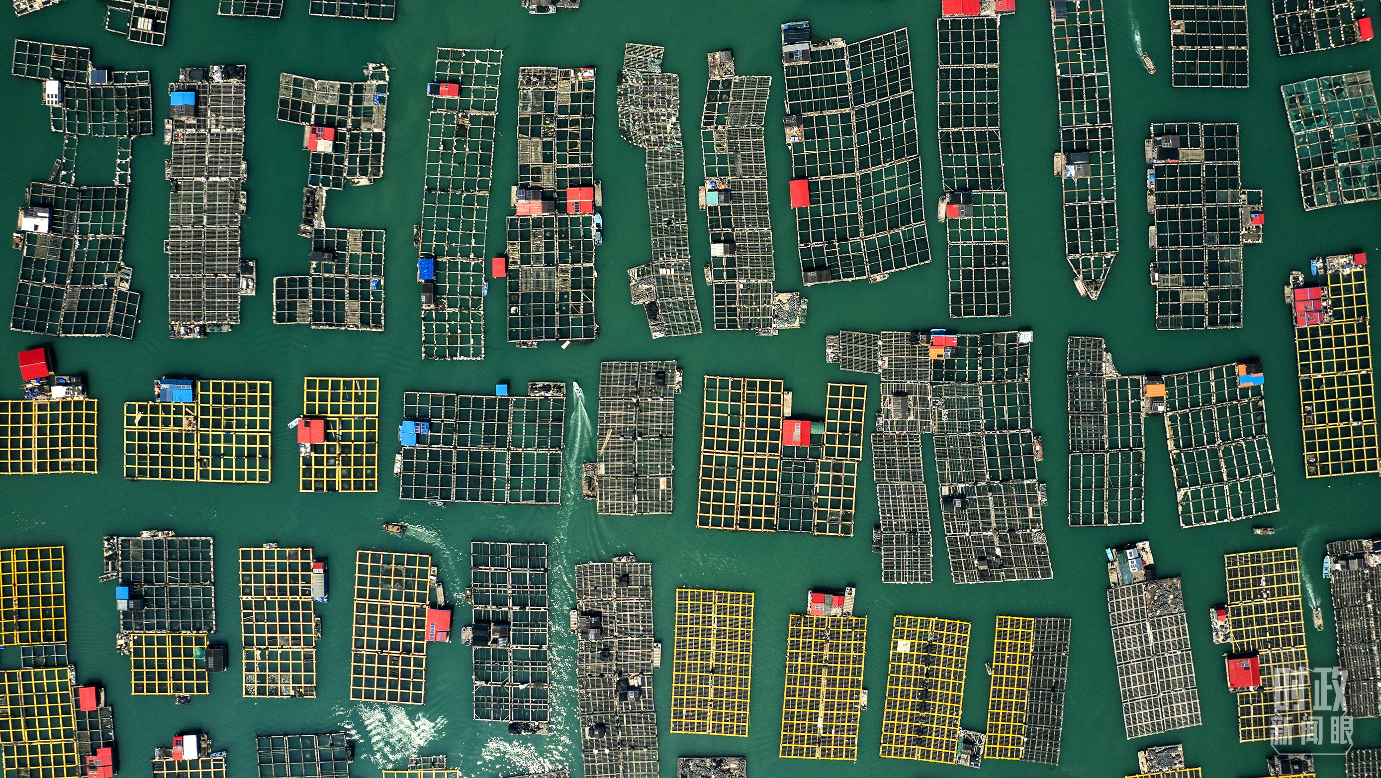 △澳角村。（總臺(tái)記者李晉拍攝）