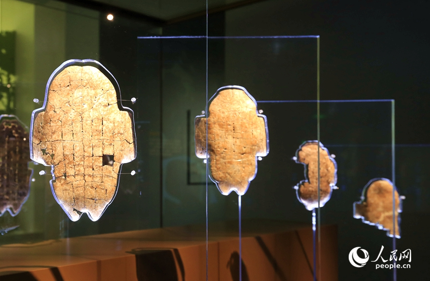 殷墟博物館展出的甲骨文。人民網(wǎng)記者 慎志遠(yuǎn) 攝