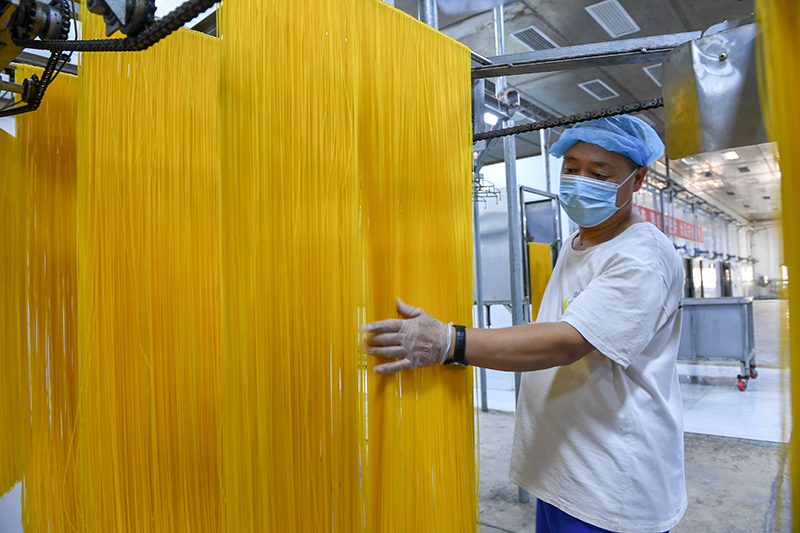 2024年1月25日，在吉林省公主嶺市的一家公司車間，工人查看玉米面條生產(chǎn)情況。