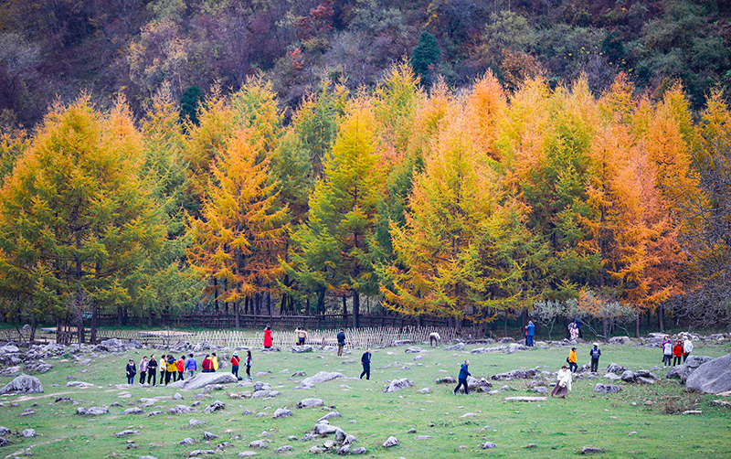 2023年10月27日，深秋時節(jié)的陜西秦嶺太子嶺漫山紅黃、色彩交織，進入最佳觀賞期。
