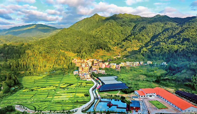 林茂田豐、天藍水清的“七彩”后洋村。 寧德市委宣傳部供圖 （2023年第24期《求是》雜志刊發(fā)）